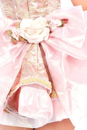Rose Marie Bow Bustle
